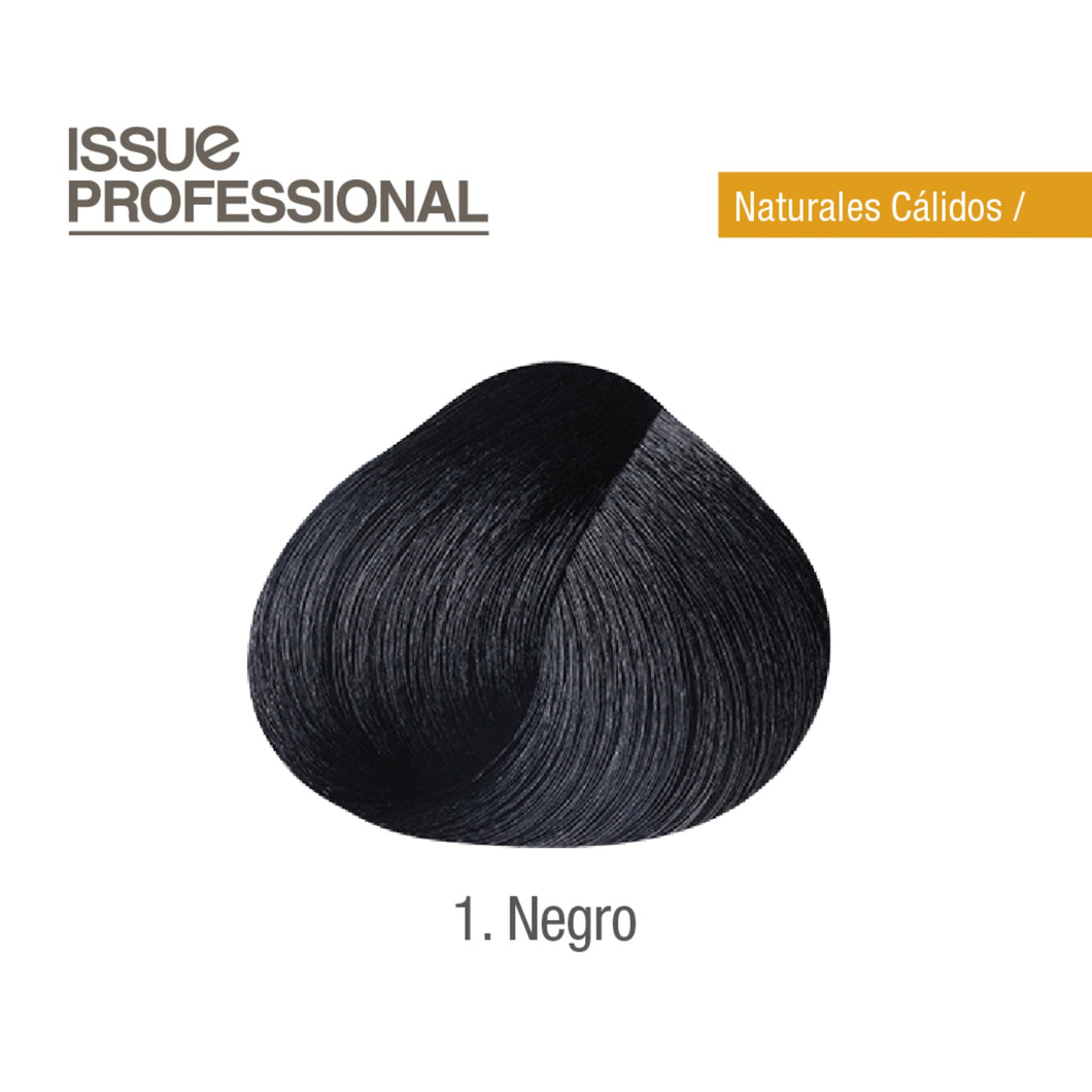 Tinte Issue Professional Color 70g