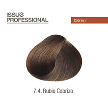 Cargar imagen en el visor de la galería, Tinte Issue Professional Color 70g
